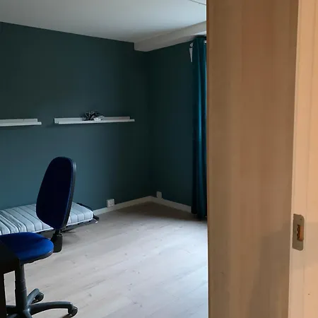 Fint Soverom, 3 Mins Til T-bane Lüks kamp alanı